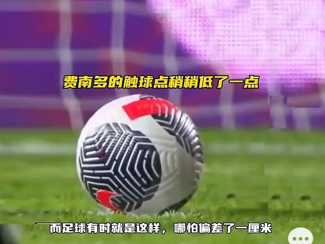 家队世界杯